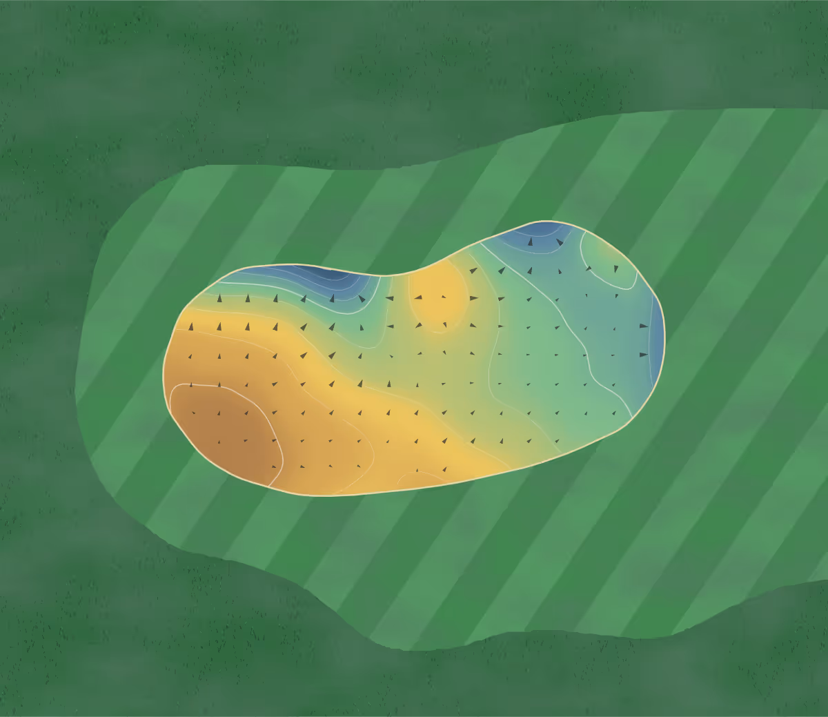 Green contour map of The Gog Magog Golf Club (1006986) Wandlebury in Cambridge, England — 21 elevation contours at a 8-centimeter interval with fall-line arrows, traced from 1-meter lidar