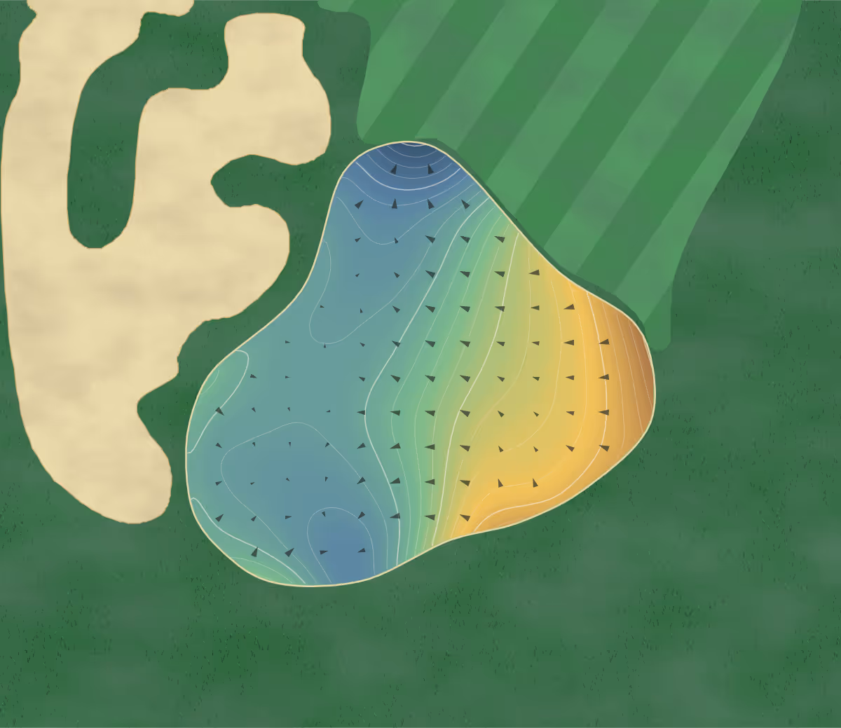 Green contour map of Golden Bear Club at in Windermere, Florida — 232 elevation contours at a 3-inch interval with fall-line arrows, traced from 1-meter lidar