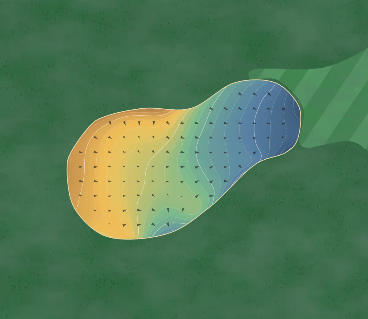 Green contour map of Virginia at Beacon Hill in Leesburg, Virginia: 281 elevation contours at a 3-inch interval with fall-line arrows, traced from 1-meter lidar