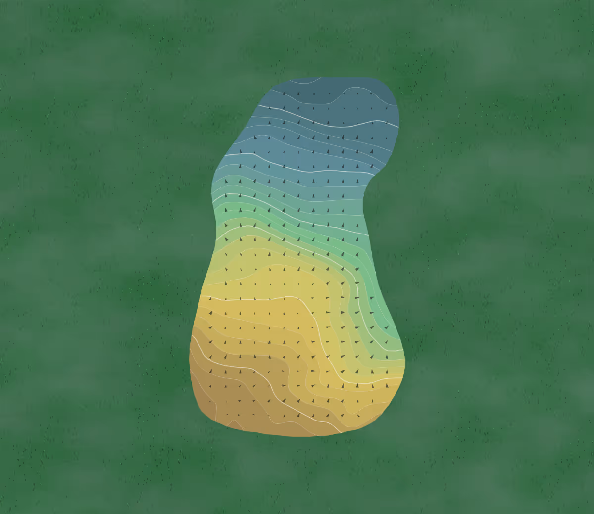 Green contour map of Branch River in Cato, Wisconsin — 238 elevation contours at a 3-inch interval with fall-line arrows, traced from 1-meter lidar