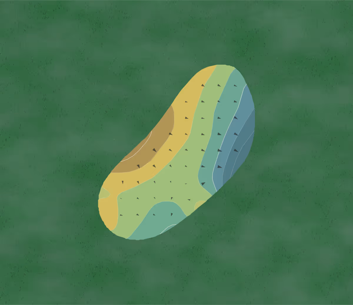 Green contour map of The Groves Golf & Country Club in Land O Lakes, Florida — 41 elevation contours at a 3-inch interval with fall-line arrows, traced from 1-meter lidar