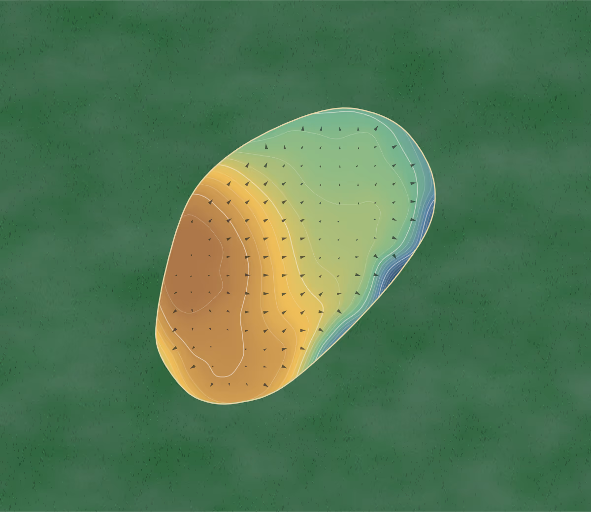Green contour map of The Heath in Portlaoise, Ireland: 86 elevation contours at a 8-centimeter interval with fall-line arrows, traced from 1-meter lidar