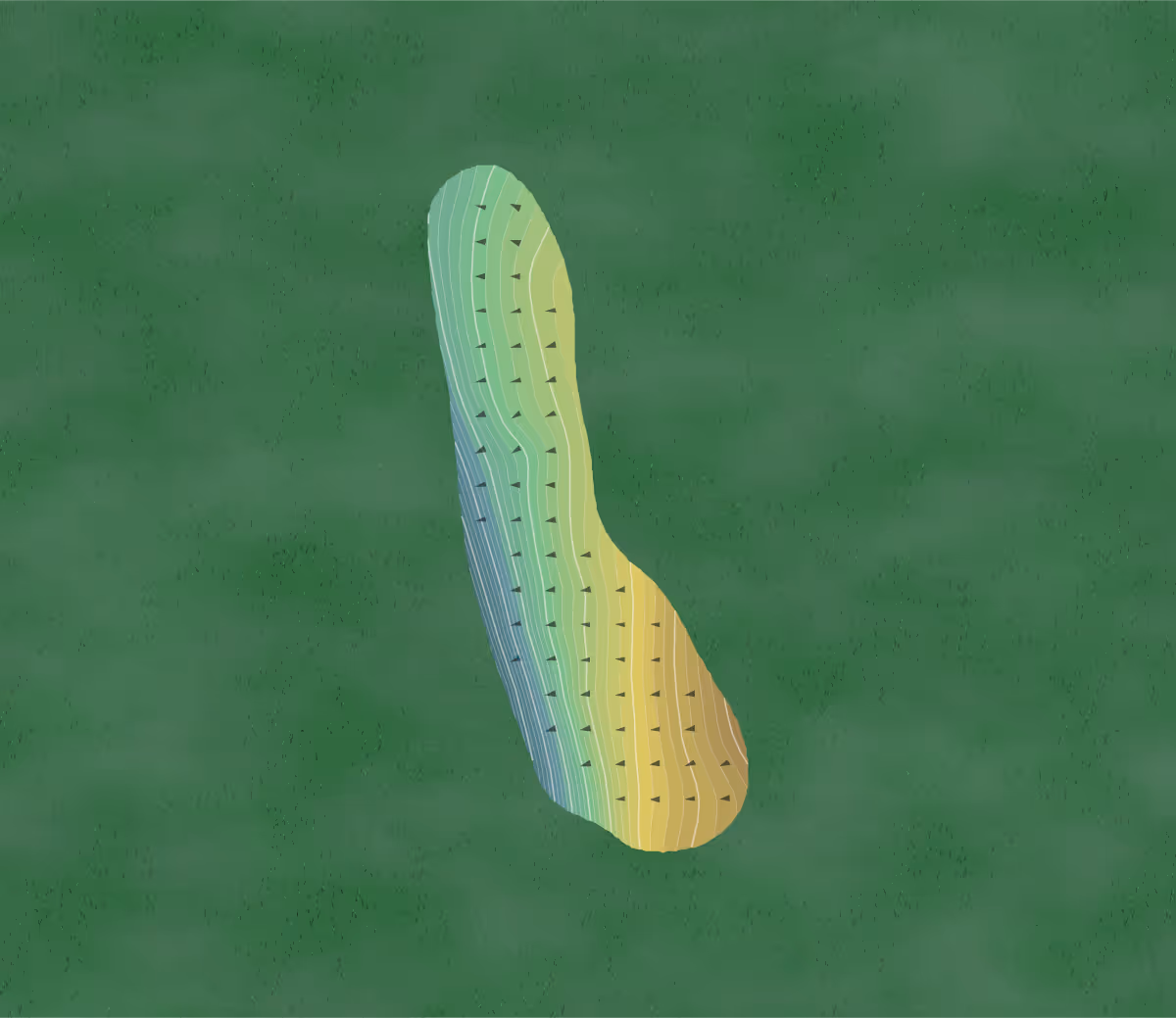 Green contour map of The Hills in Lebanon, Illinois — 258 elevation contours at a 3-inch interval with fall-line arrows, traced from 1-meter lidar