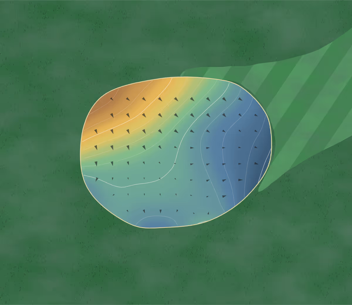 Green contour map of The Landings in Kingston, Canada: 93 elevation contours at a 8-centimeter interval with fall-line arrows, traced from 1-meter lidar
