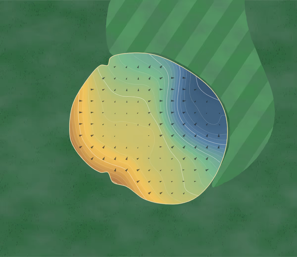 Green contour map of Heartland Crossing in Camby, Indiana: 167 elevation contours at a 3-inch interval with fall-line arrows, traced from 1-meter lidar