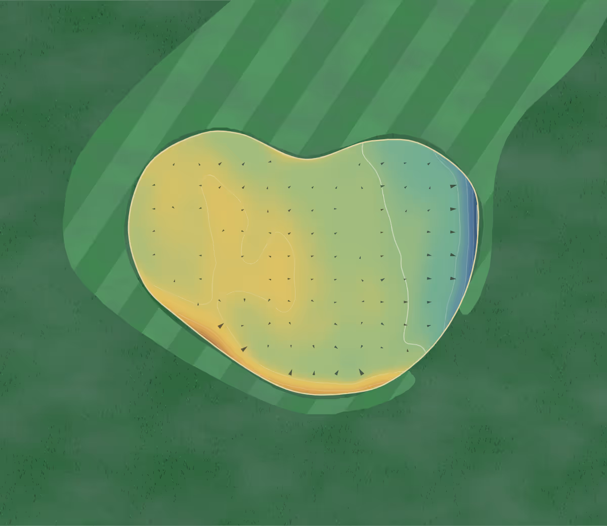 Green contour map of The Lottbridge in Eastbourne, England: 56 elevation contours at a 8-centimeter interval with fall-line arrows, traced from 1-meter lidar