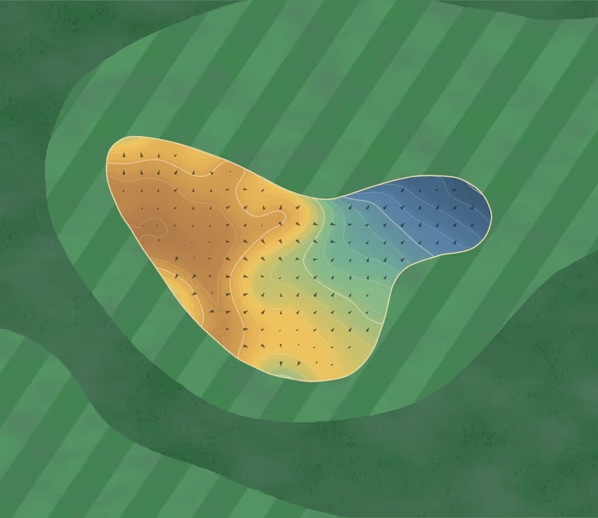 Green contour map of The Manor Golf Club, Drighlington (1010818) Championship in Bradford, England — 181 elevation contours at a 8-centimeter interval with fall-line arrows, traced from 1-meter lidar