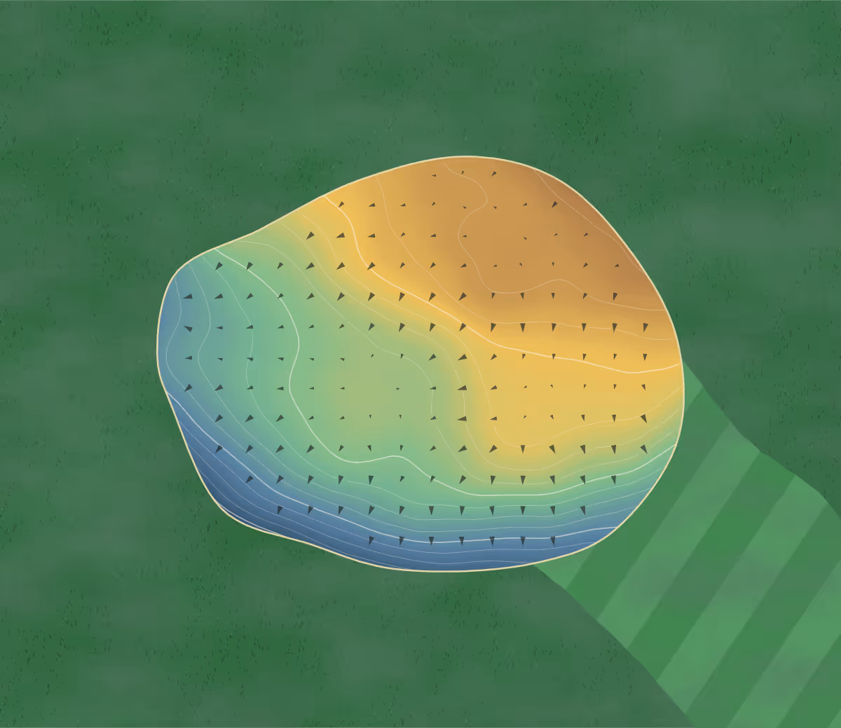 Green contour map of The Maples in Noëlville, Canada: 81 elevation contours at a 8-centimeter interval with fall-line arrows, traced from 1-meter lidar
