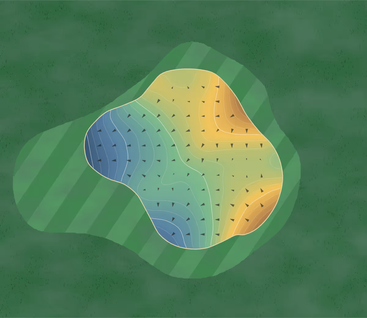 Green contour map of The Morgans in Pāuatahanui, New Zealand — 134 elevation contours at a 8-centimeter interval with fall-line arrows, traced from 1-meter lidar