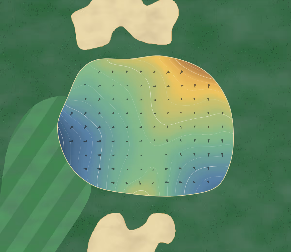 Green contour map of National Golf Club in Lake Charles, Louisiana — 195 elevation contours at a 3-inch interval with fall-line arrows, traced from 1-meter lidar