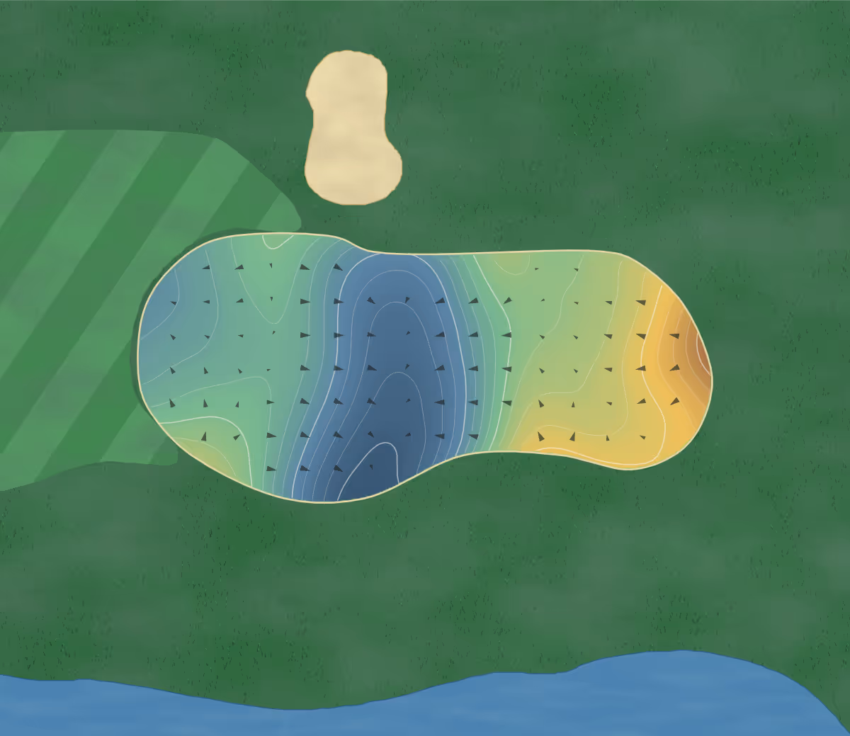 Green contour map of National Golf in Ave Maria, Florida — 165 elevation contours at a 3-inch interval with fall-line arrows, traced from 1-meter lidar