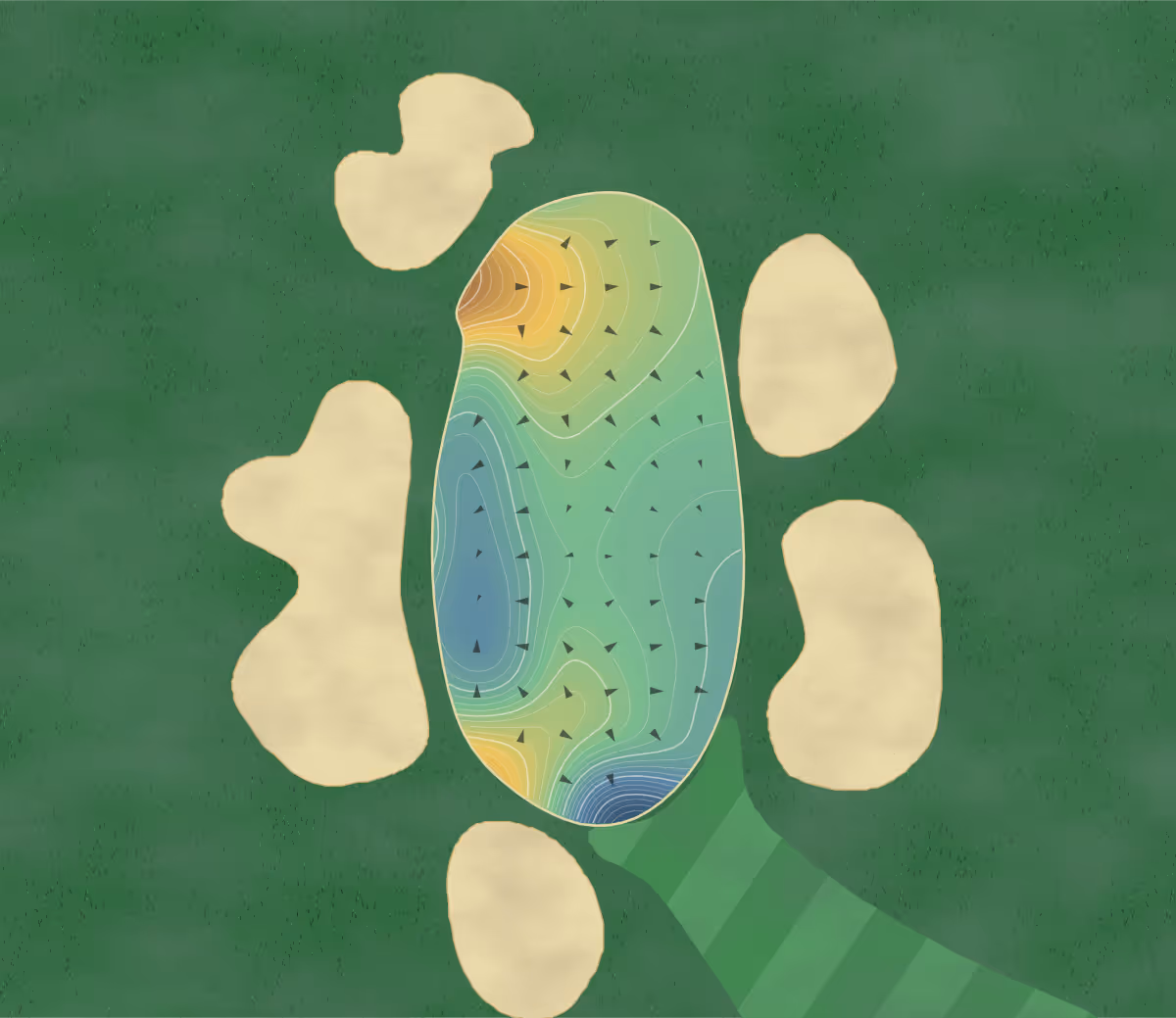Green contour map of Nelson Golf and Sports in Irving, Texas — 336 elevation contours at a 3-inch interval with fall-line arrows, traced from 1-meter lidar