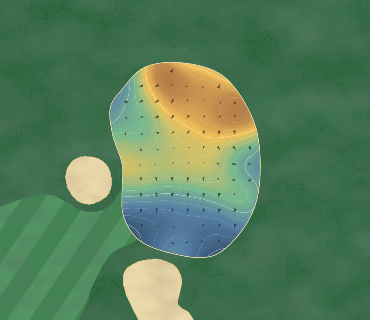 Green contour map of The Nest in Bonita Springs, Florida: 175 elevation contours at a 3-inch interval with fall-line arrows, traced from 1-meter lidar