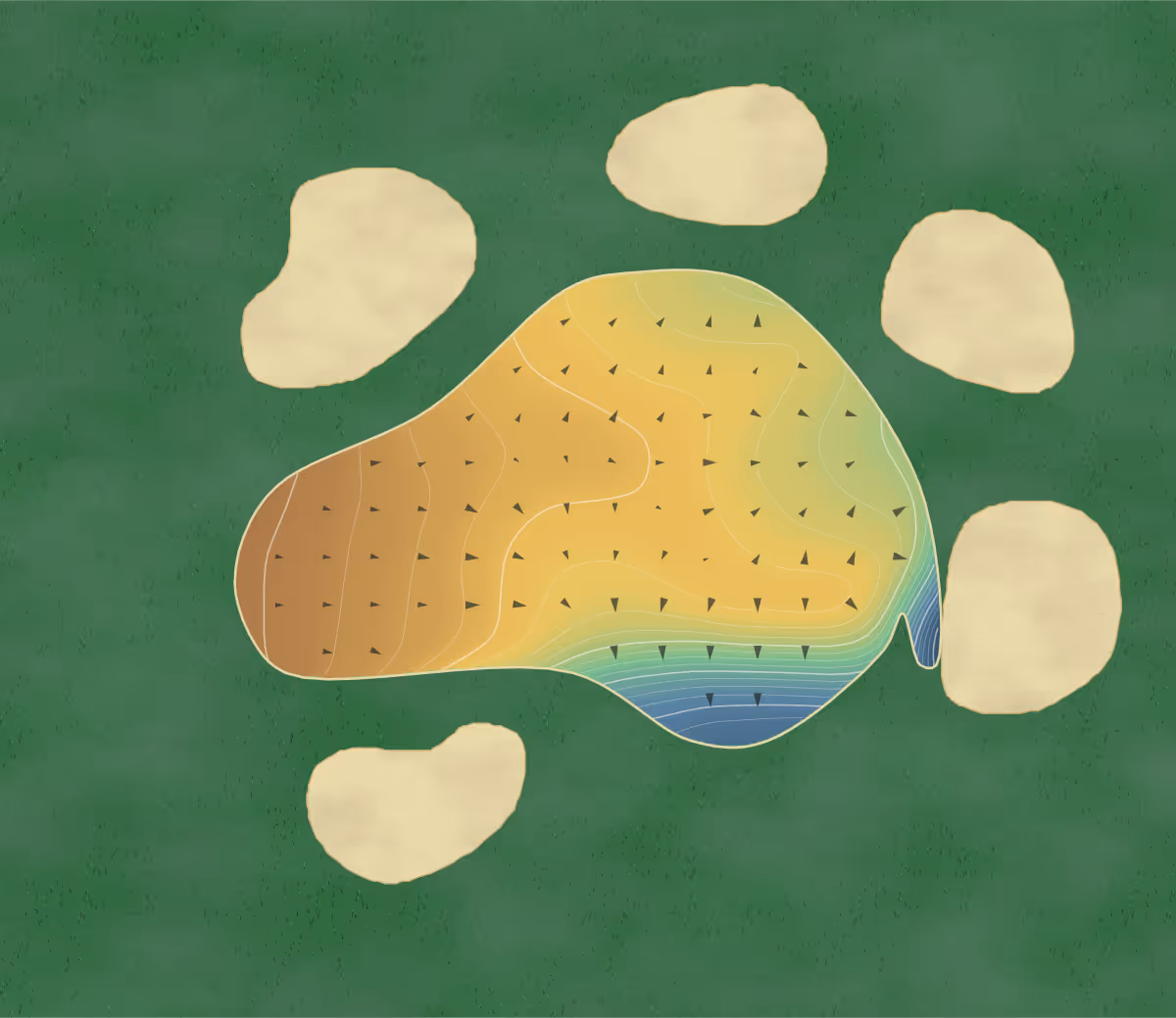 Green contour map of The Nest in Barrie, Canada: 199 elevation contours at a 8-centimeter interval with fall-line arrows, traced from 1-meter lidar