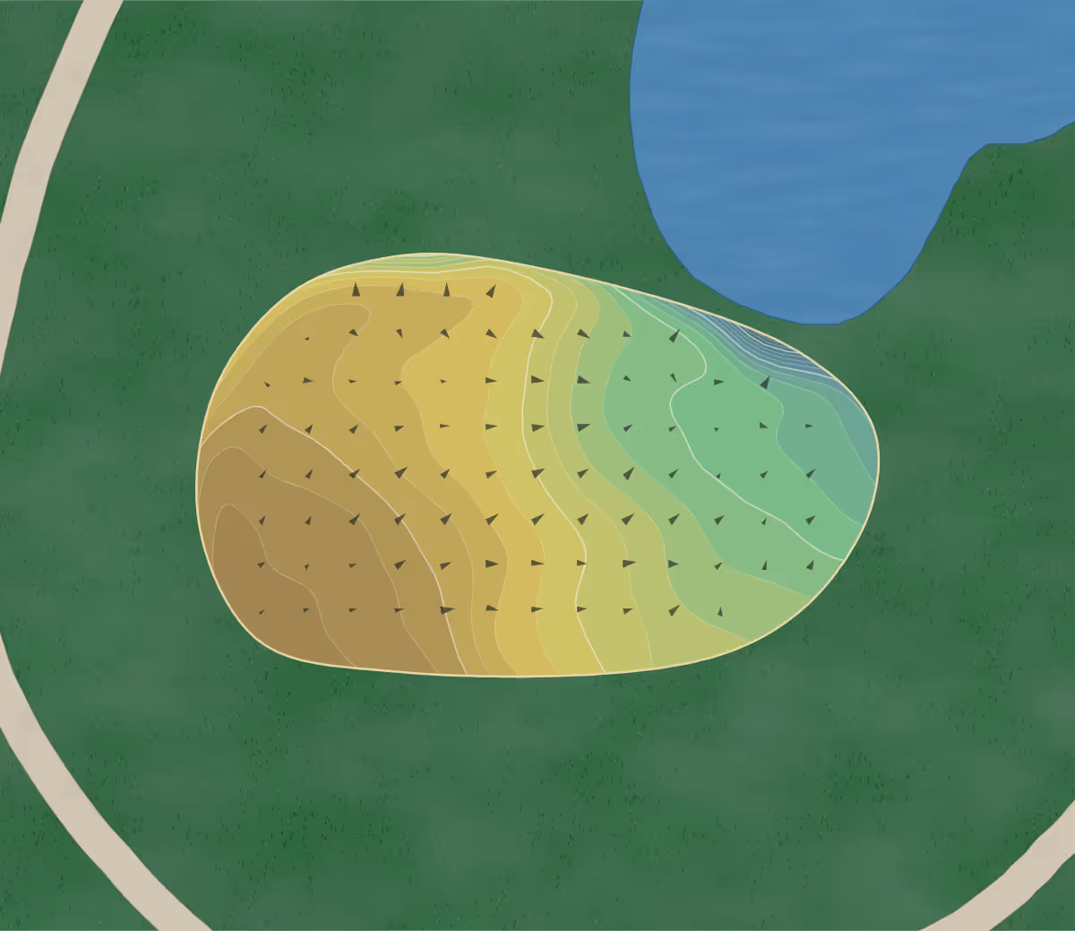 Green contour map of Oconee in Greensboro, Georgia — 245 elevation contours at a 3-inch interval with fall-line arrows, traced from 1-meter lidar