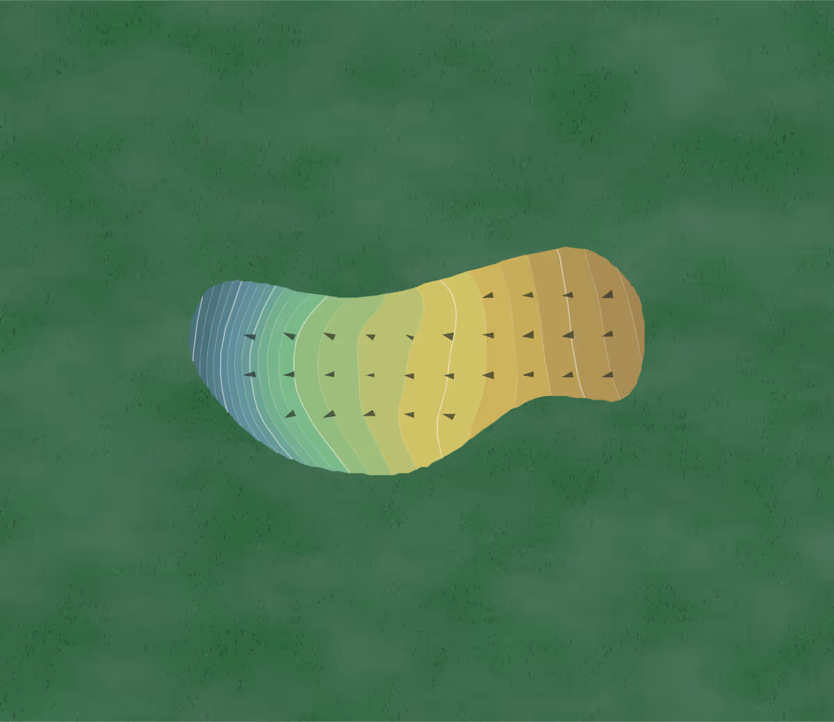 Green contour map of The Pines Golf Course in Pulaski, New York — 57 elevation contours at a 3-inch interval with fall-line arrows, traced from 1-meter lidar