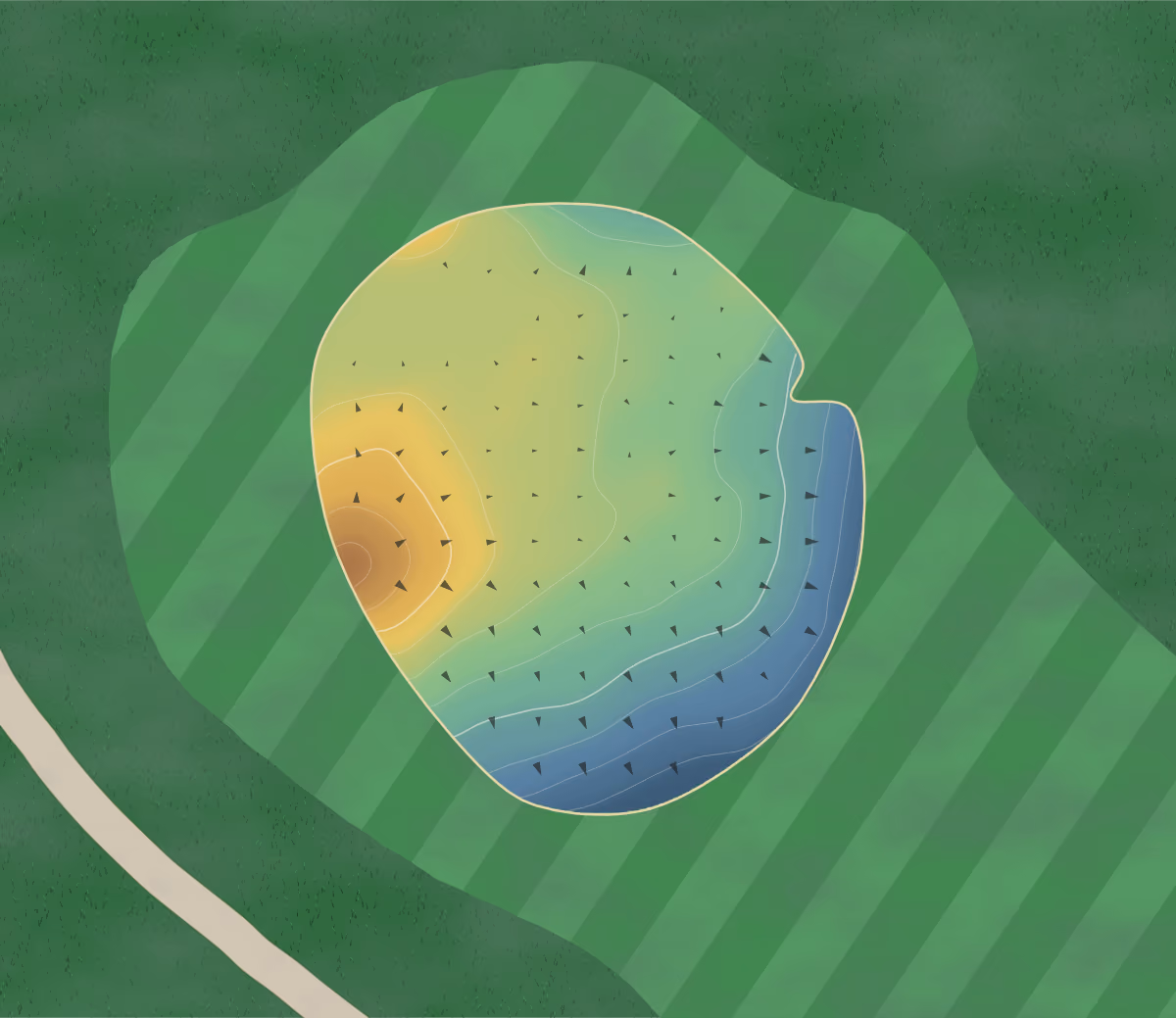 Green contour map of The Pines in Williamsburg, Virginia: 127 elevation contours at a 3-inch interval with fall-line arrows, traced from 1-meter lidar