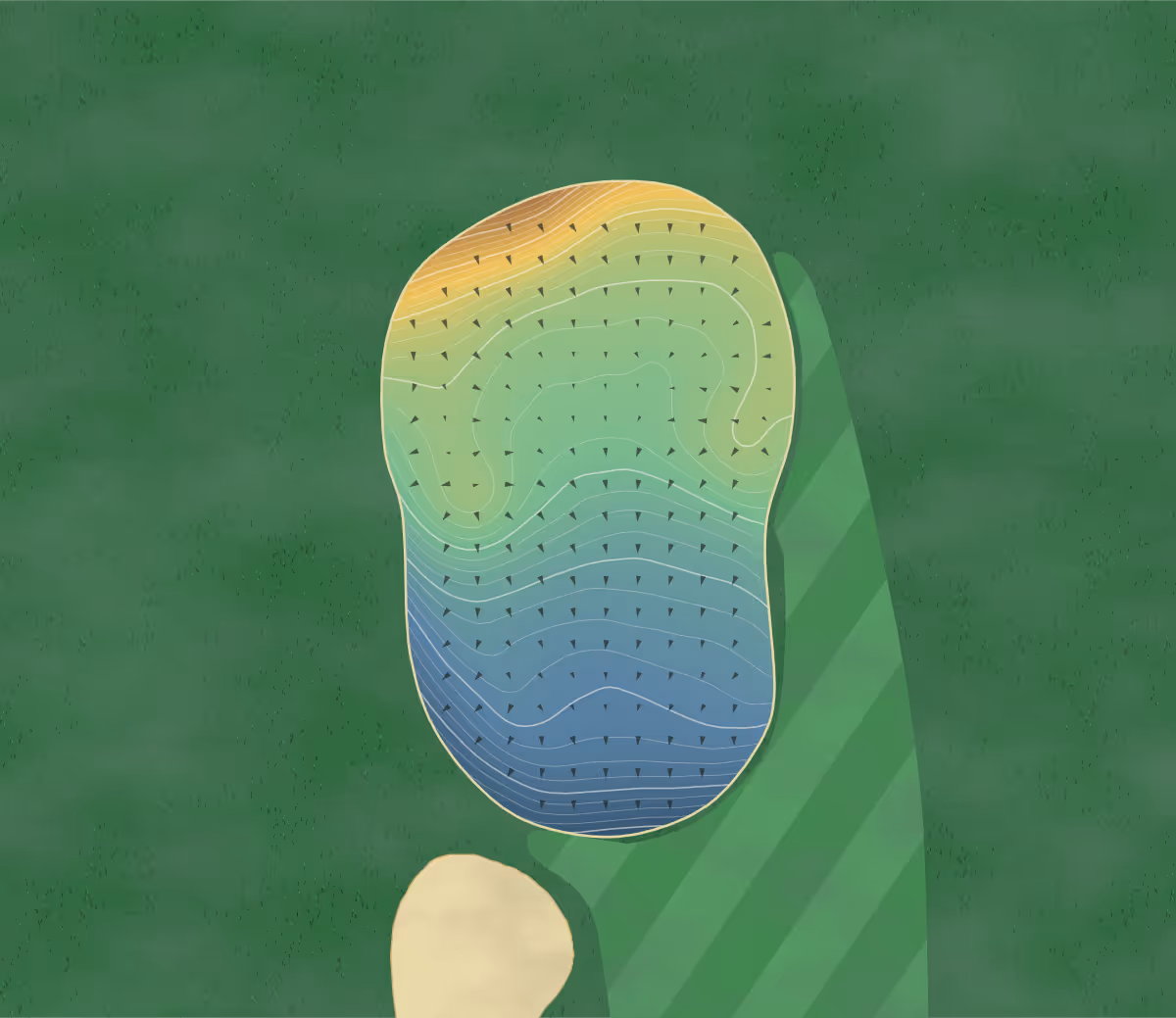 Green contour map of The Pinnacle in Kelowna, Canada — 271 elevation contours at a 8-centimeter interval with fall-line arrows, traced from 1-meter lidar