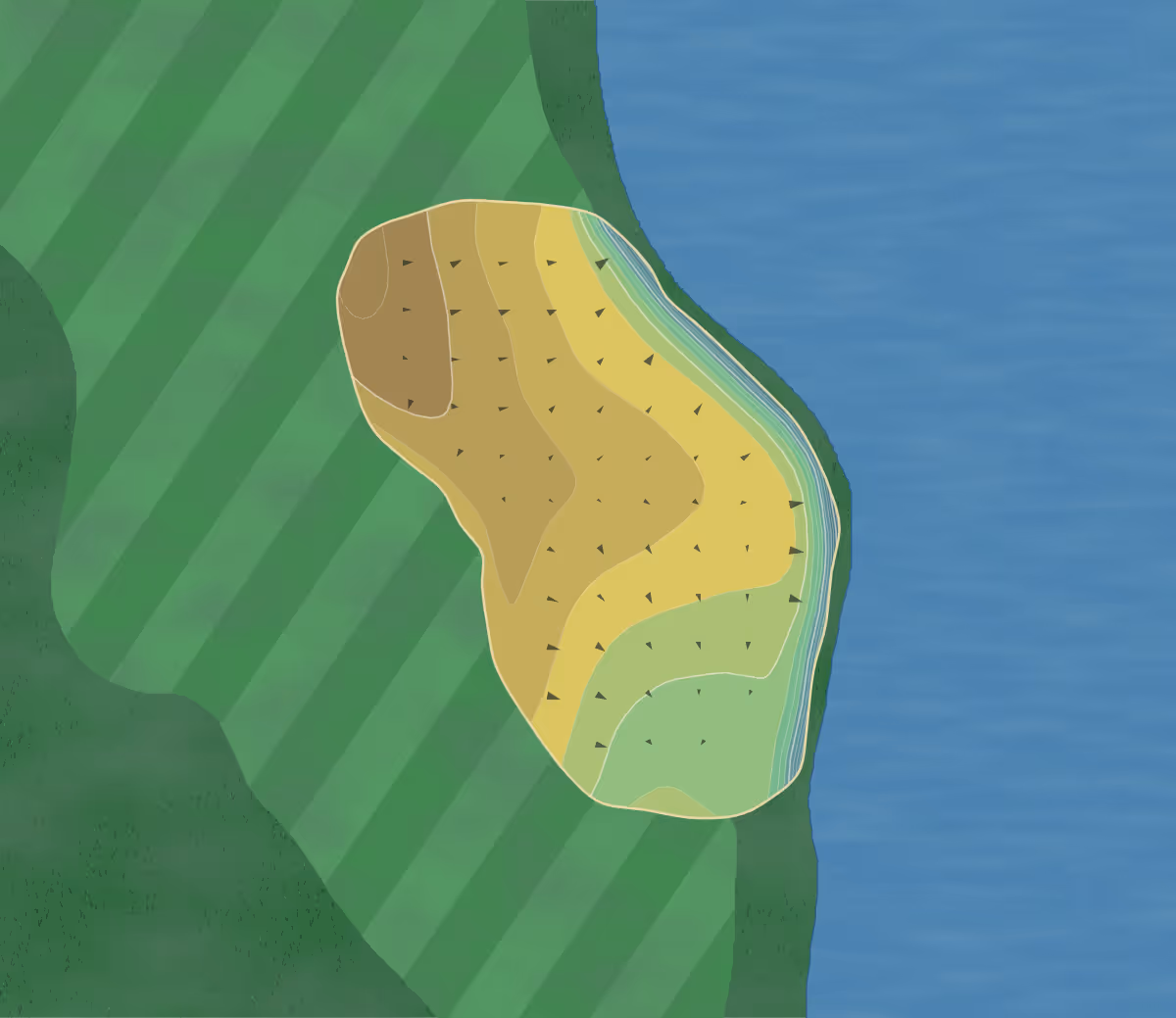 Green contour map of The Plantation in Ponte Vedra Beach, Florida — 205 elevation contours at a 3-inch interval with fall-line arrows, traced from 1-meter lidar