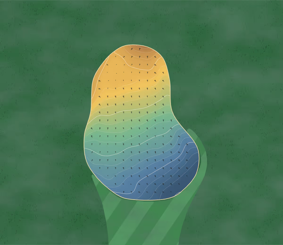 Green contour map of The Players in Carman, Canada: 81 elevation contours at a 8-centimeter interval with fall-line arrows, traced from 1-meter lidar