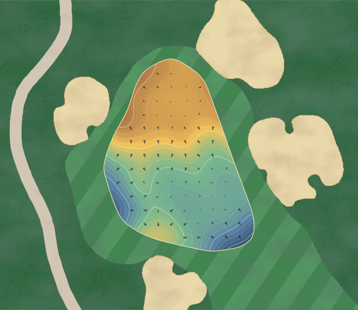 Green contour map of Royal Sydney in Rose Bay, Australia — 270 elevation contours at a 8-centimeter interval with fall-line arrows, traced from 1-meter lidar