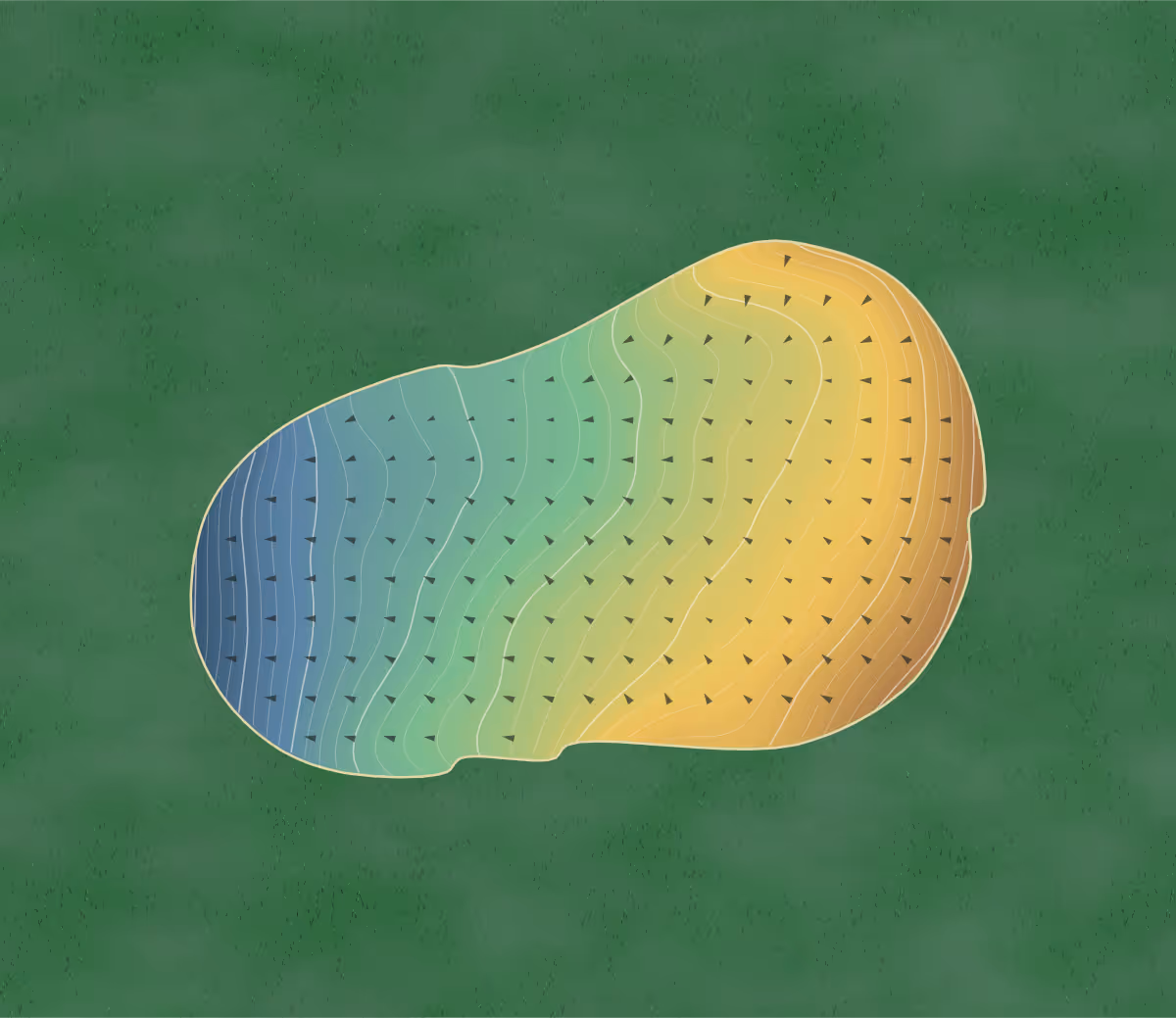 Green contour map of Sagamore Club in Noblesville, Indiana — 208 elevation contours at a 3-inch interval with fall-line arrows, traced from 1-meter lidar