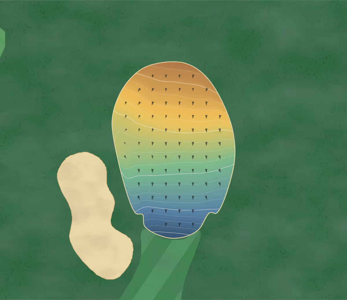 Green contour map of The Suburban Club in Pikesville, Maryland: 173 elevation contours at a 3-inch interval with fall-line arrows, traced from 1-meter lidar