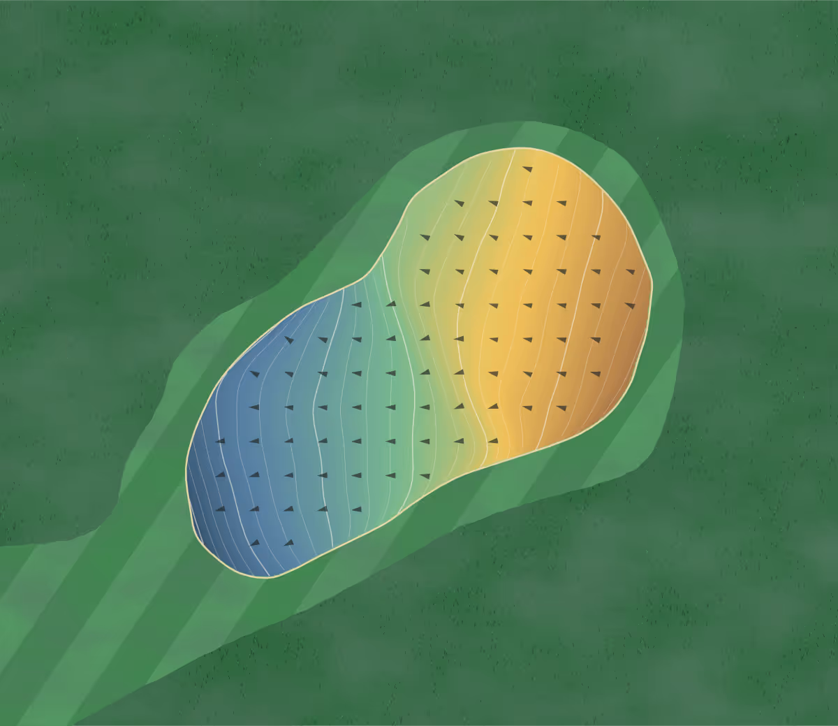 Green contour map of The Vines of Reynella in Happy Valley, Australia — 164 elevation contours at a 8-centimeter interval with fall-line arrows, traced from 1-meter lidar