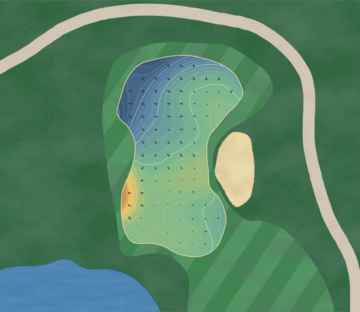 Green contour map of Vintage in Rothbury, Australia — 276 elevation contours at a 8-centimeter interval with fall-line arrows, traced from 1-meter lidar