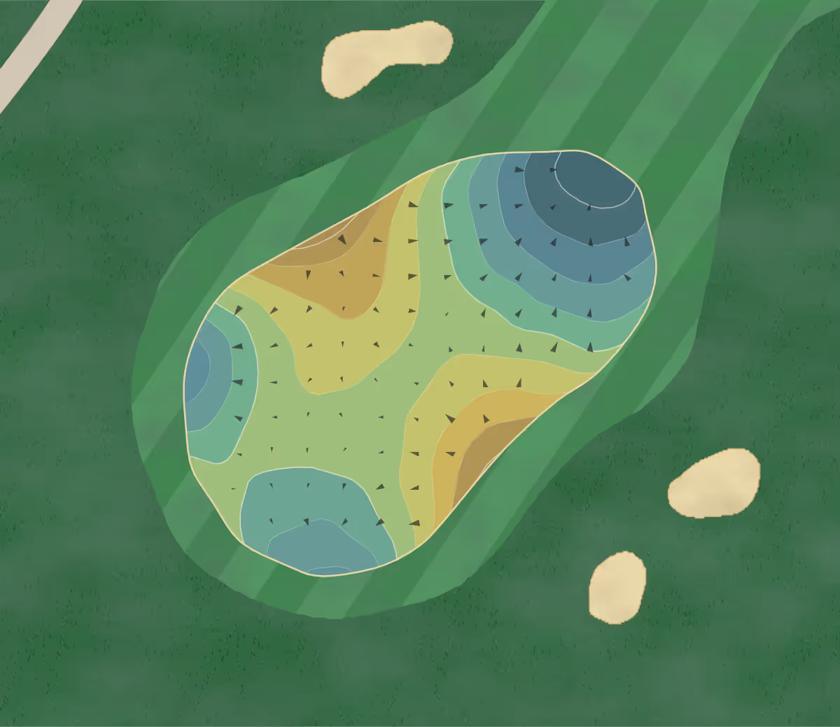 Green contour map of Man O' War in Myrtle Beach, South Carolina — 312 elevation contours at a 3-inch interval with fall-line arrows, traced from 1-meter lidar