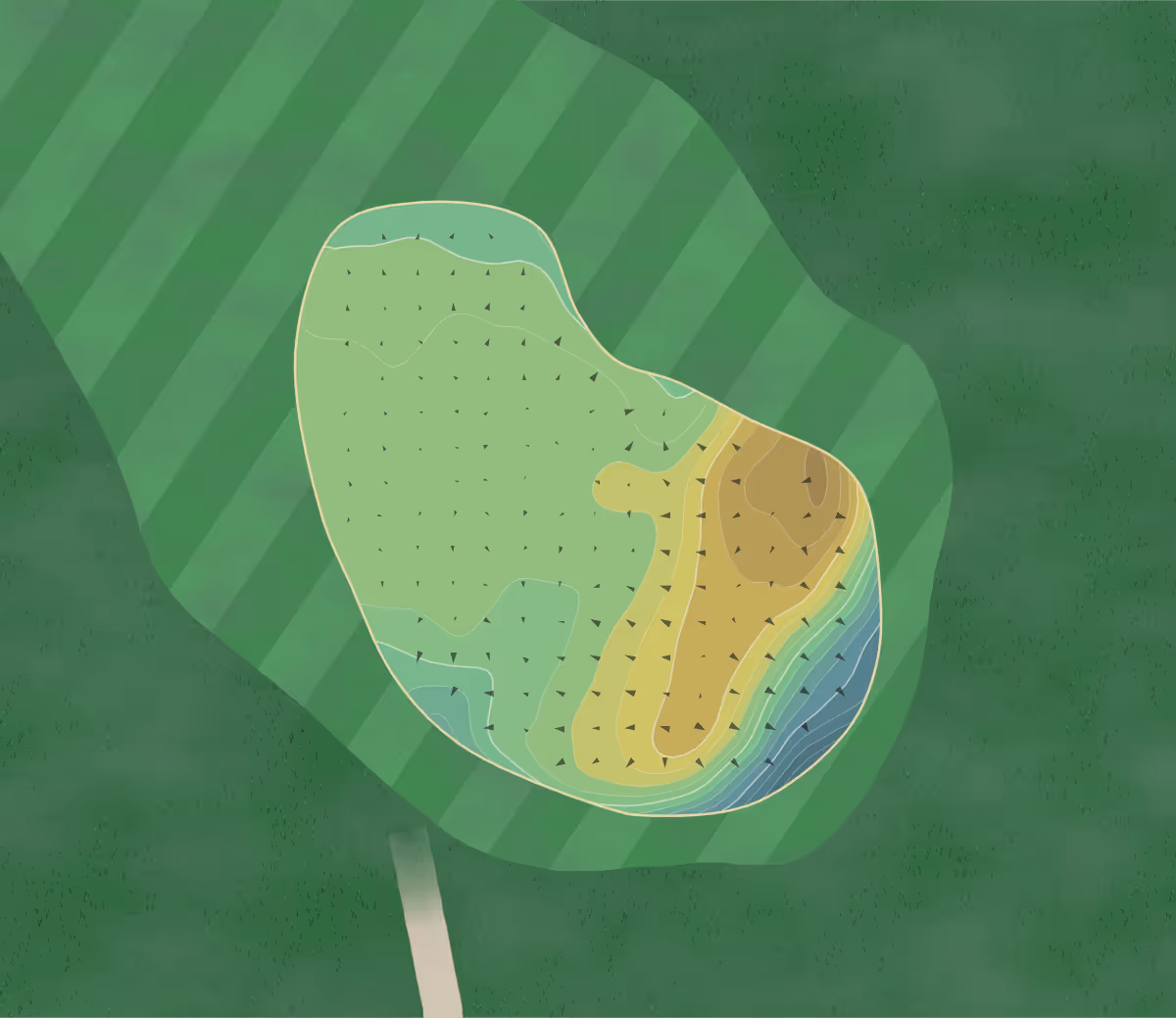 Green contour map of Theale GC in Berkshire, England — 109 elevation contours at a 8-centimeter interval with fall-line arrows, traced from 1-meter lidar