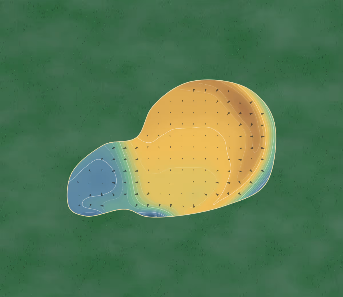 Green contour map of Thorpe Wood in Peterborough, United Kingdom — 164 elevation contours at a 8-centimeter interval with fall-line arrows, traced from 1-meter lidar
