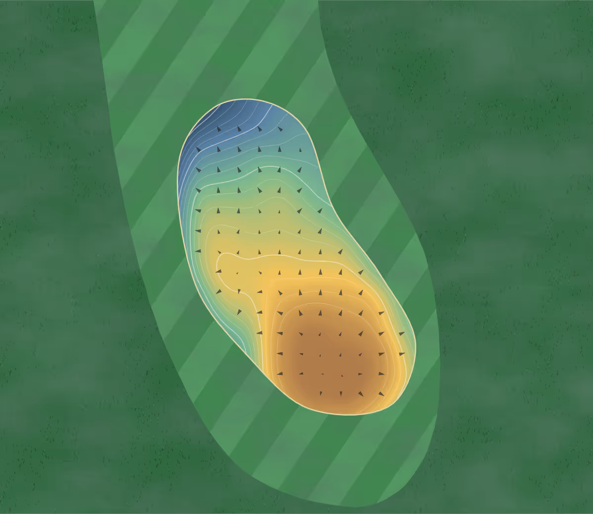 Green contour map of Tilbury in Tilbury, Canada: 137 elevation contours at a 8-centimeter interval with fall-line arrows, traced from 1-meter lidar