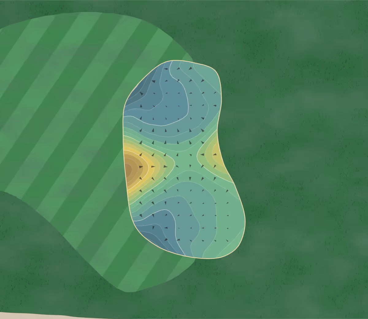 Green contour map of Timber Banks in Baldwinsville, New York — 276 elevation contours at a 3-inch interval with fall-line arrows, traced from 1-meter lidar