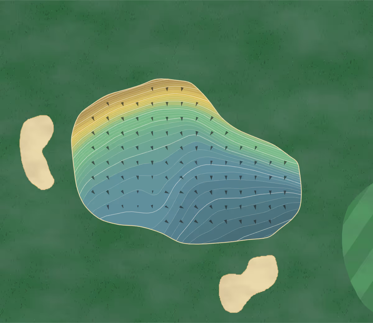Green contour map of Timber Ridge in East Lansing, Michigan — 295 elevation contours at a 3-inch interval with fall-line arrows, traced from 1-meter lidar