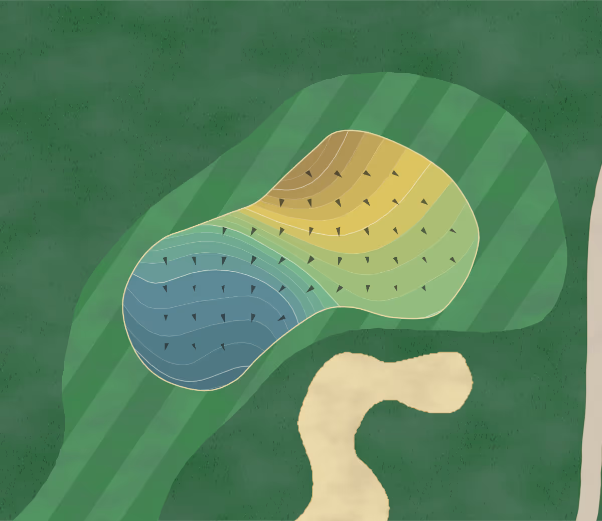 Green contour map of Timberlake CC in Chapin, South Carolina — 207 elevation contours at a 3-inch interval with fall-line arrows, traced from 1-meter lidar