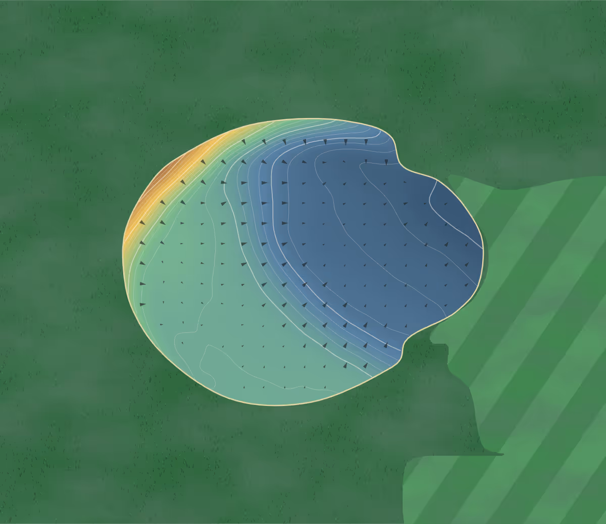 Green contour map of Tinsley Park in Sheffield, England — 163 elevation contours at a 8-centimeter interval with fall-line arrows, traced from 1-meter lidar