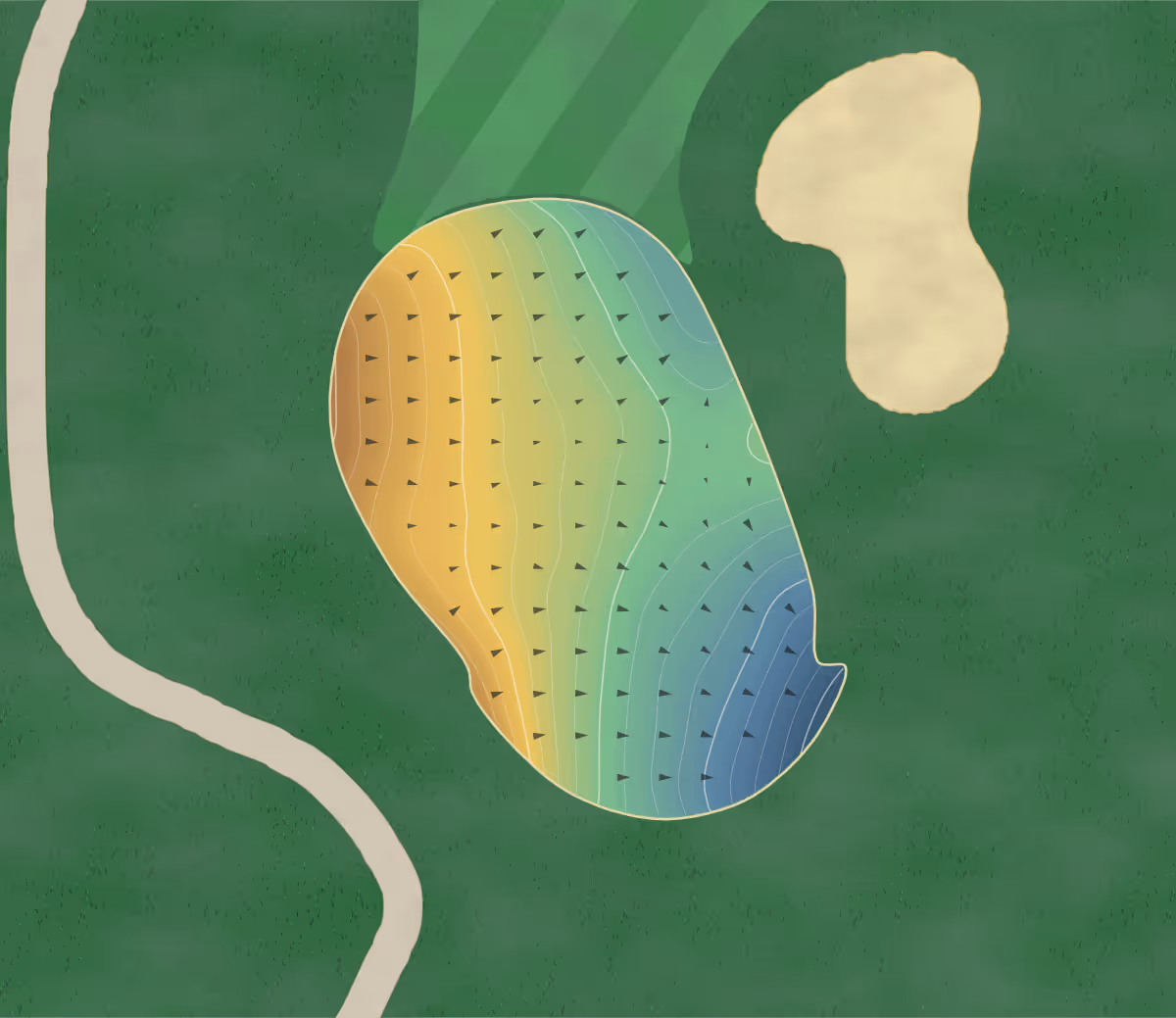Green contour map of Tippecanoe in Canfield, Ohio: 231 elevation contours at a 3-inch interval with fall-line arrows, traced from 1-meter lidar