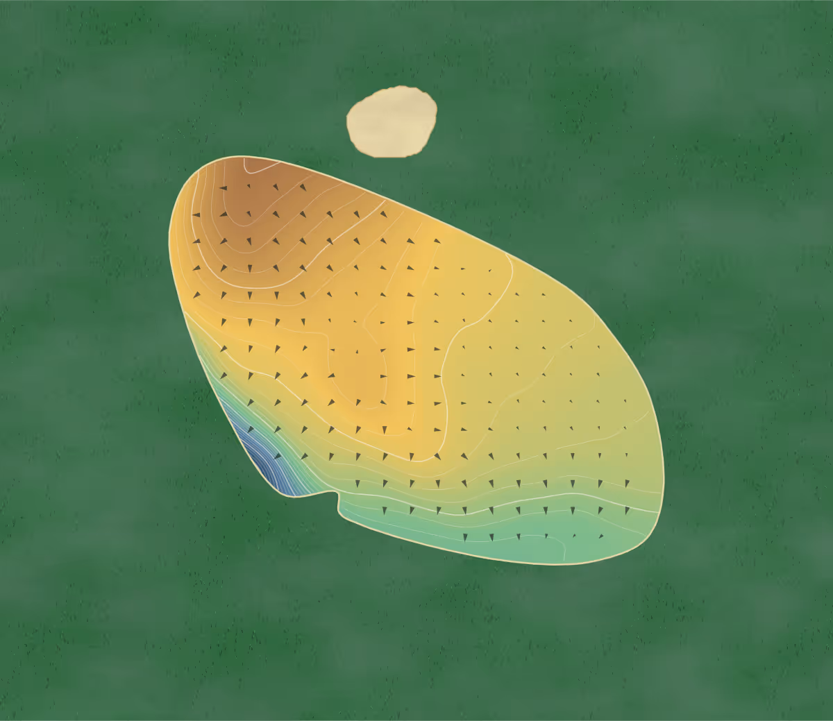 Green contour map of Tisdale Riverside in Tisdale, Canada: 145 elevation contours at a 8-centimeter interval with fall-line arrows, traced from 1-meter lidar