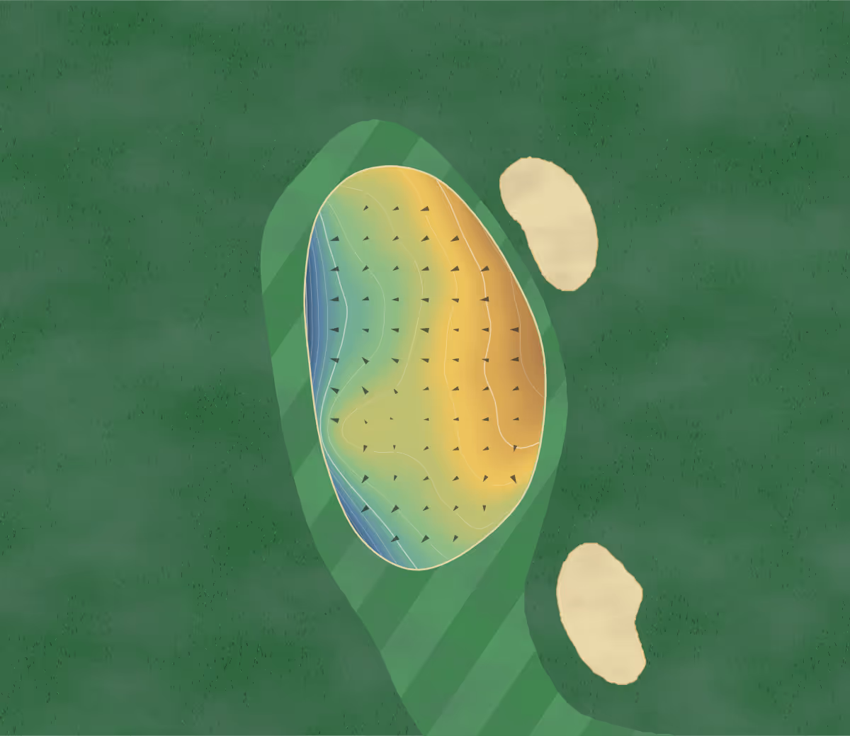 Green contour map of Tiverton in Tiverton, England: 126 elevation contours at a 8-centimeter interval with fall-line arrows, traced from 1-meter lidar
