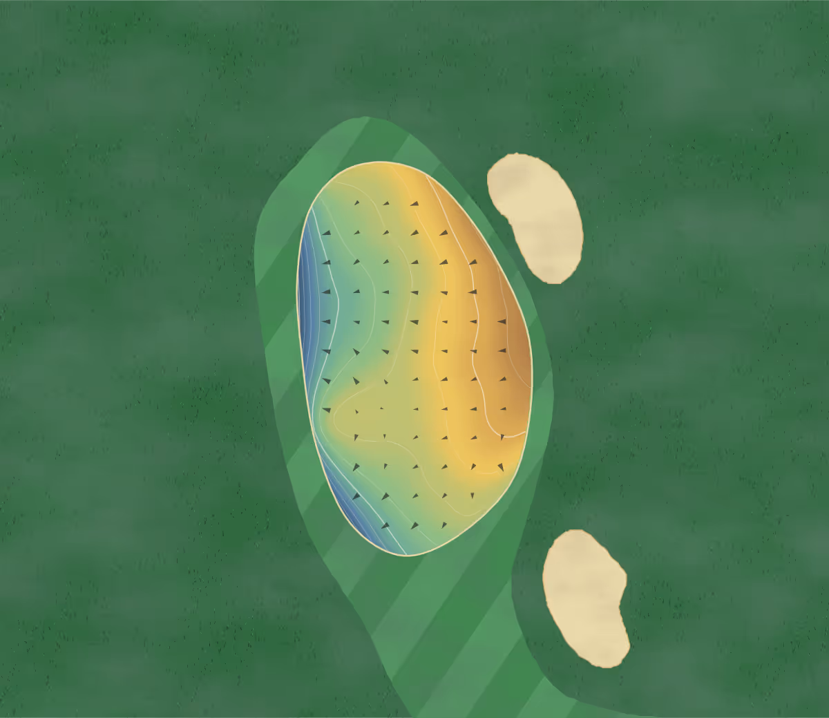 Green contour map of Tiverton in Tiverton, England — 135 elevation contours at a 8-centimeter interval with fall-line arrows, traced from 1-meter lidar