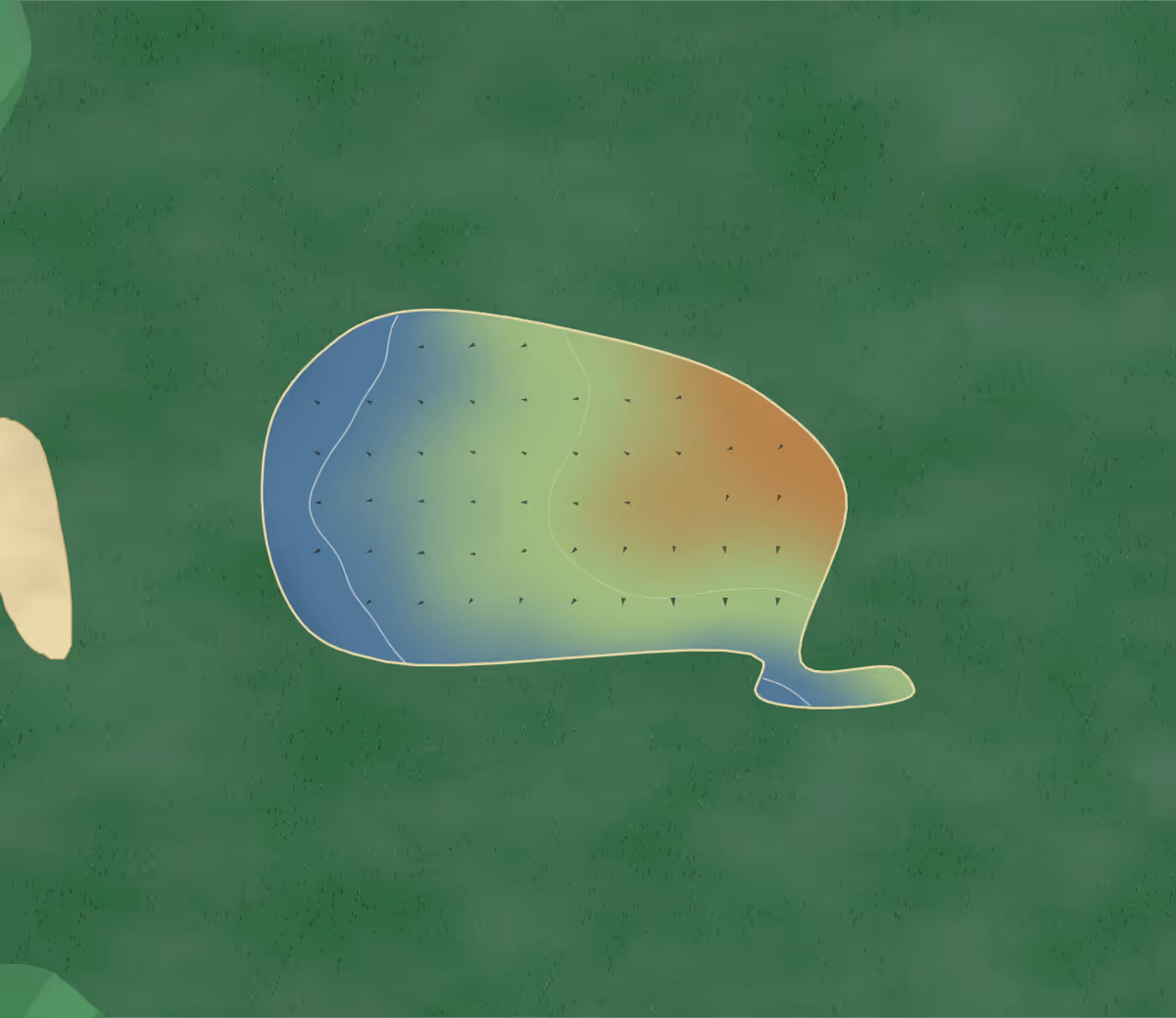 Green contour map of Tom's in Eatonville, Washington: 5 elevation contours at a 3-inch interval with fall-line arrows, traced from 1-meter lidar