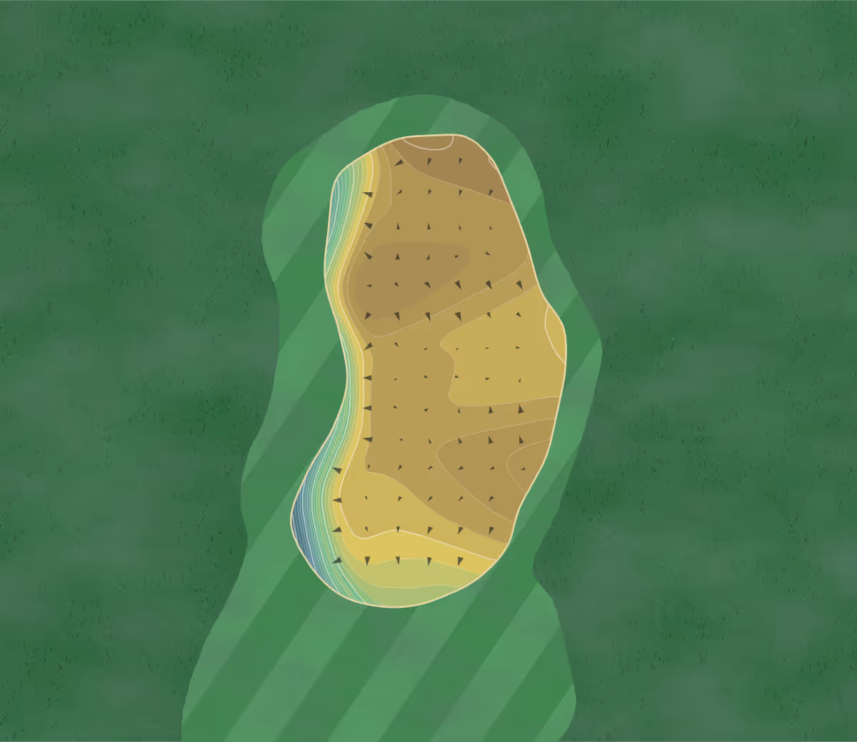 Green contour map of Torreon in Show Low, Arizona — 313 elevation contours at a 3-inch interval with fall-line arrows, traced from 1-meter lidar