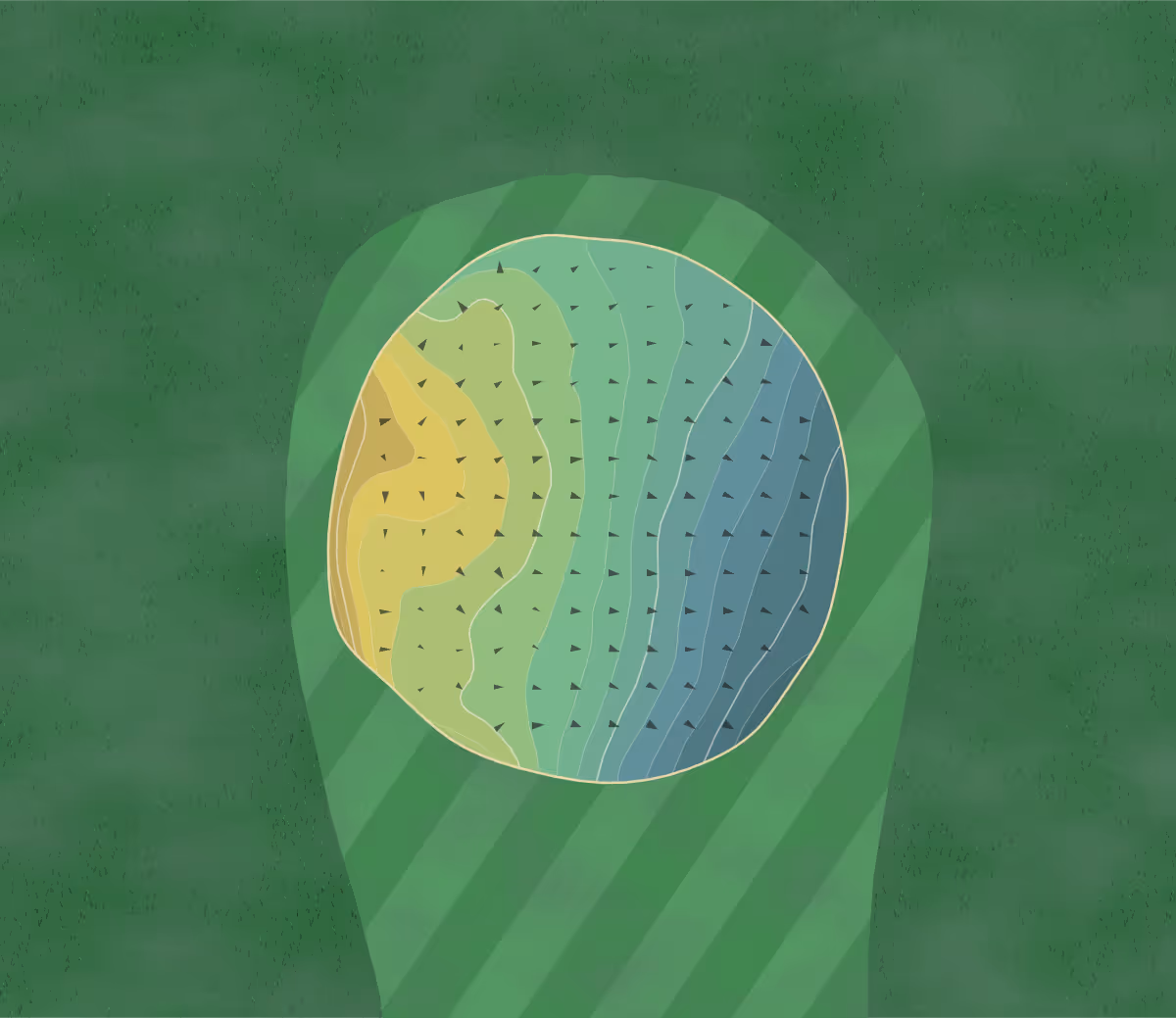 Green contour map of Torwoodlee in Galashiels, Scotland — 147 elevation contours at a 8-centimeter interval with fall-line arrows, traced from 1-meter lidar
