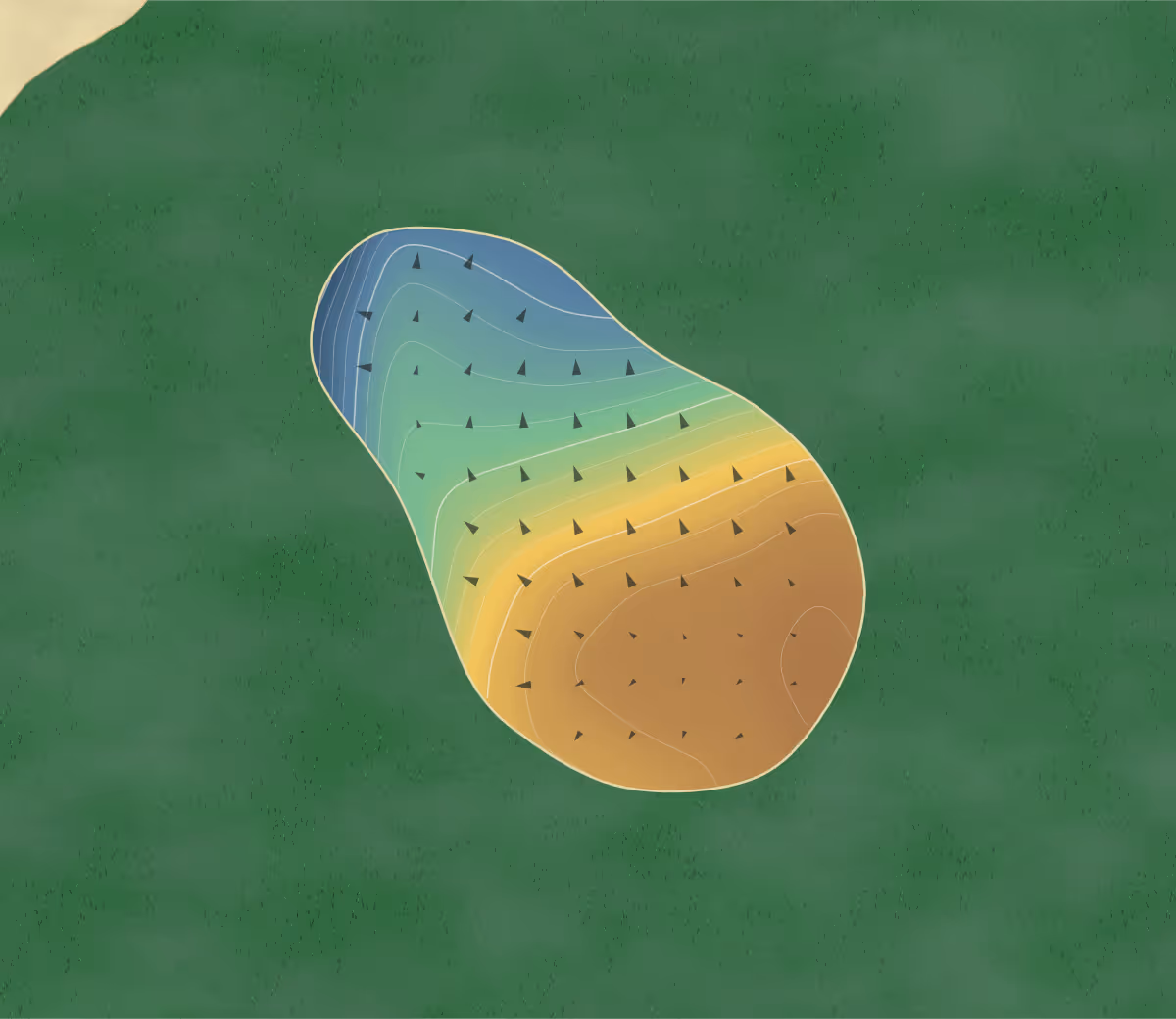 Green contour map of Token Shiokawa in Nakatsugawa, Japan: 383 elevation contours at a 8-centimeter interval with fall-line arrows, traced from 1-meter lidar