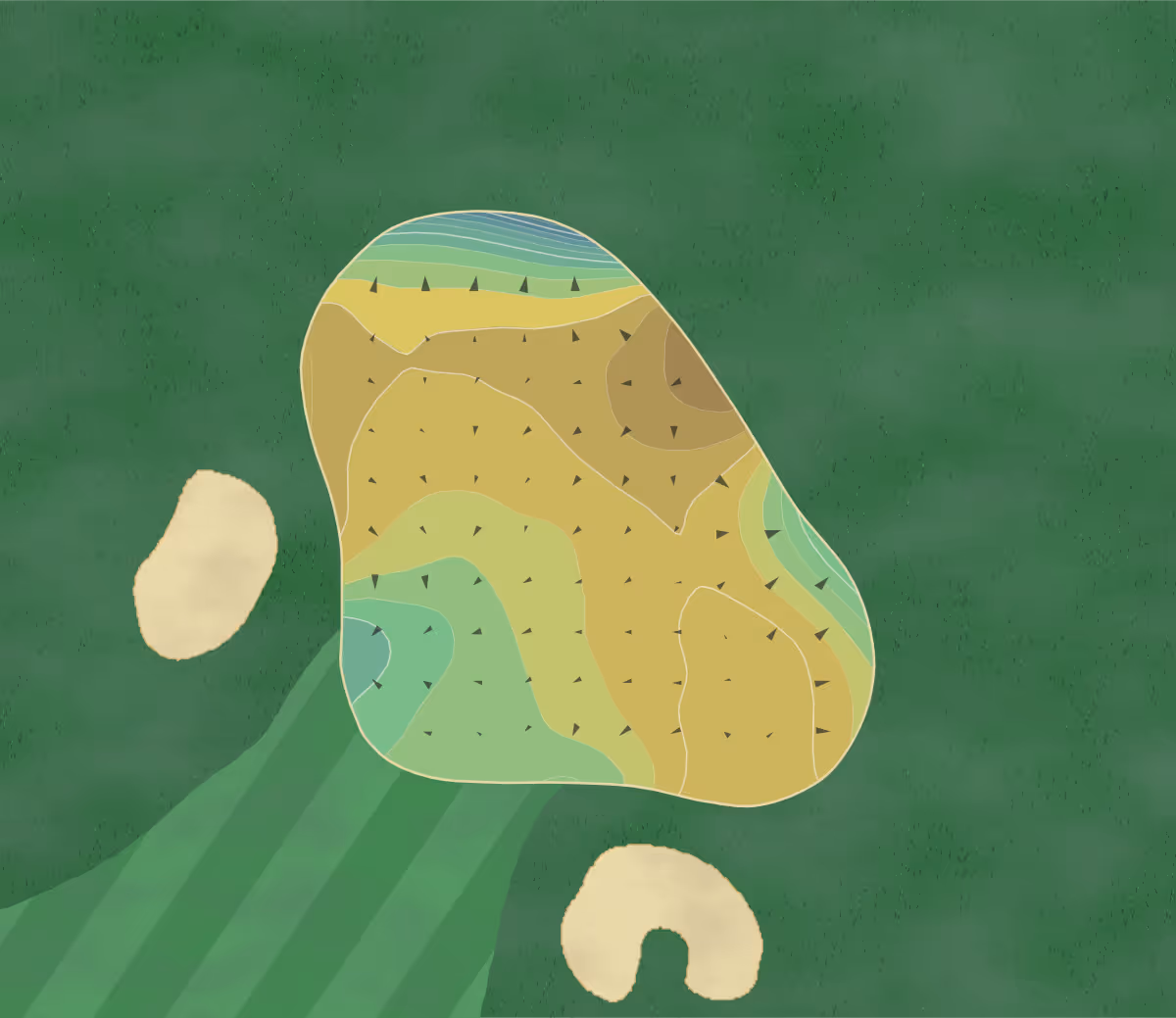 Green contour map of Tpc Myrtle in Murrells Inlet, South Carolina — 194 elevation contours at a 3-inch interval with fall-line arrows, traced from 1-meter lidar