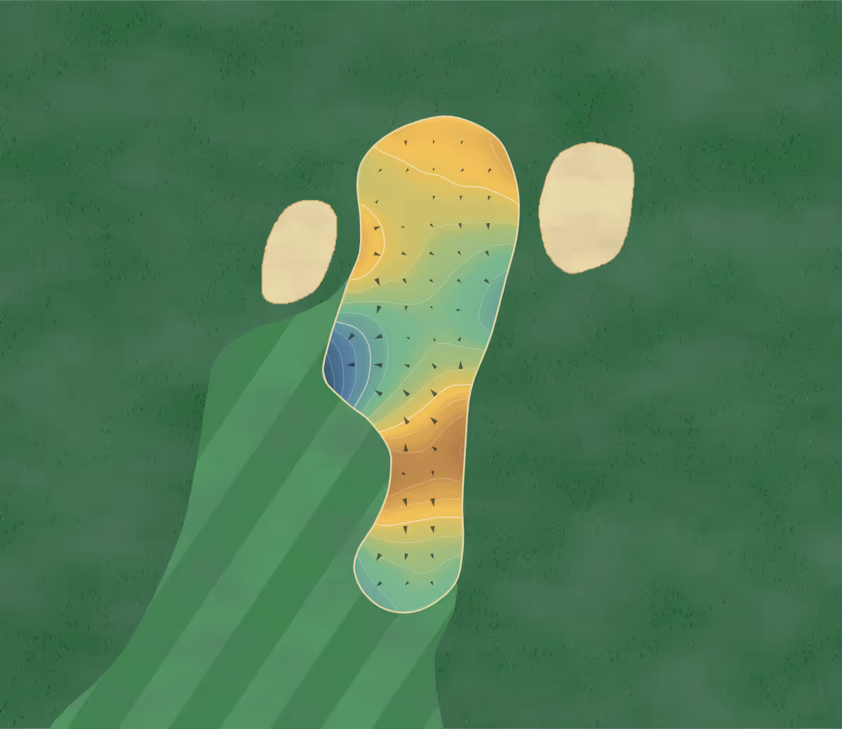 Green contour map of TPC Tampa Bay in Lutz, Florida — 175 elevation contours at a 3-inch interval with fall-line arrows, traced from 1-meter lidar