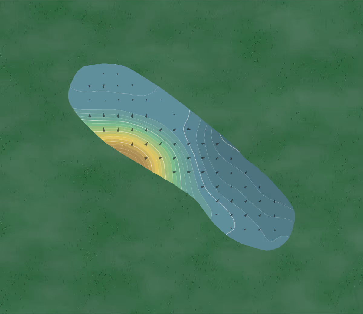 Green contour map of Tracy in Tracy, California — 146 elevation contours at a 3-inch interval with fall-line arrows, traced from 1-meter lidar