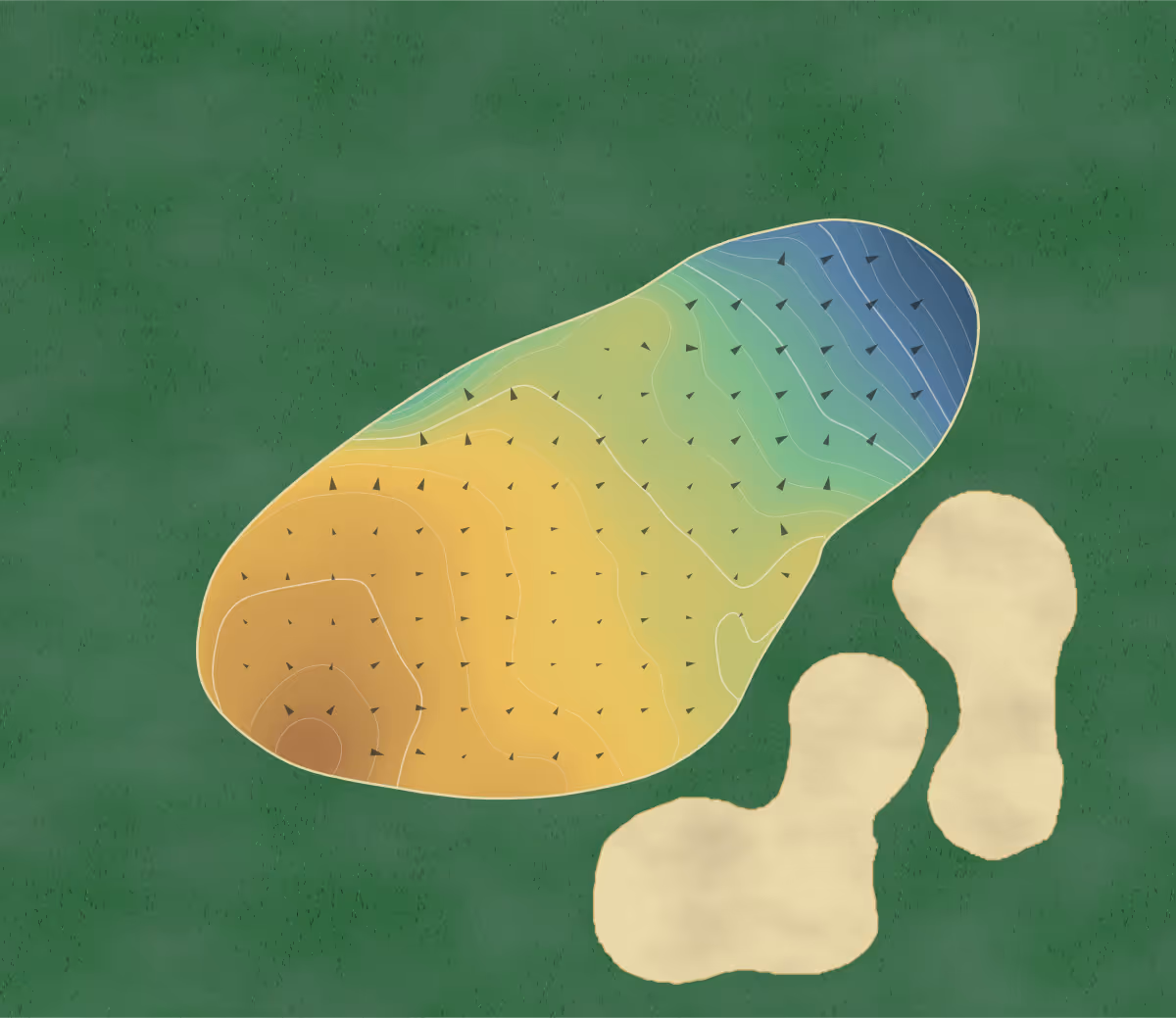 Green contour map of Tradition in Pawleys Island, South Carolina — 176 elevation contours at a 3-inch interval with fall-line arrows, traced from 1-meter lidar