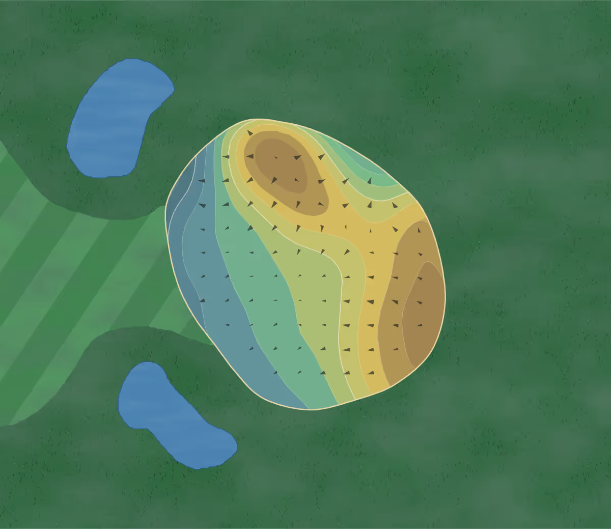 Green contour map of Trapp River in Wauau, Wisconsin — 183 elevation contours at a 3-inch interval with fall-line arrows, traced from 1-meter lidar